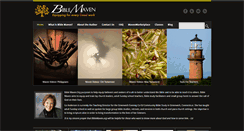 Desktop Screenshot of biblemaven.org